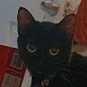 Meet your Posher, William